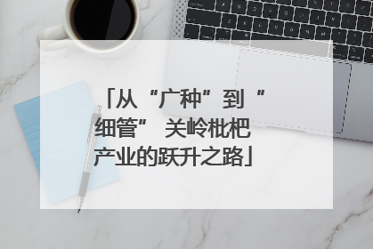 从“广种”到“细管” 关岭枇杷产业的跃升之路